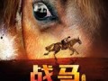 战马在线观看