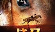 战马在线观看